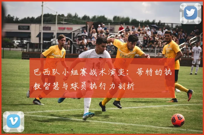 巴西队小组赛战术演变：蒂特的执教智慧与球员执行力剖析