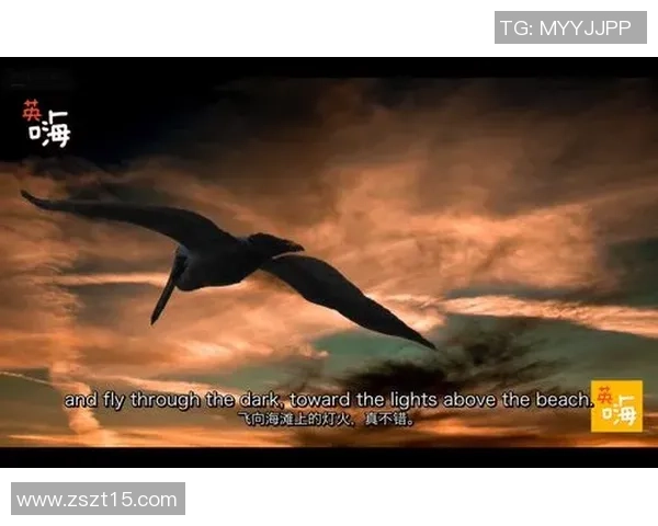 深度对话:周秀英在英雄联盟中的成长与挑战之路 深度对话:周秀英在英雄联盟中的成长与挑战之路