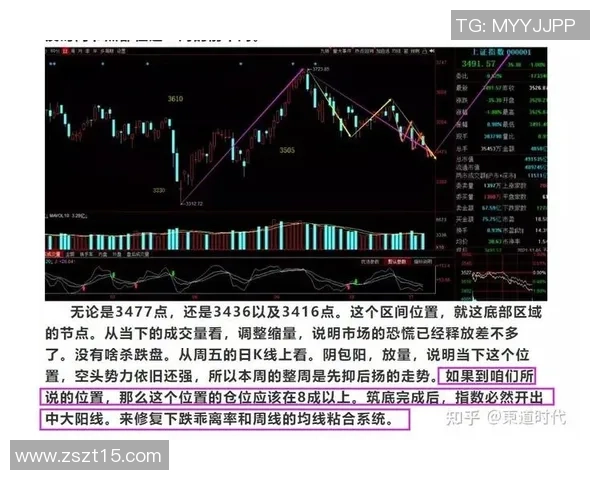 重庆足球队的节奏变化分析与未来发展展望