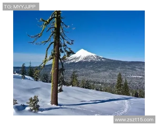 陈强独家揭秘攀岩技巧与心得分享助你征服高峰