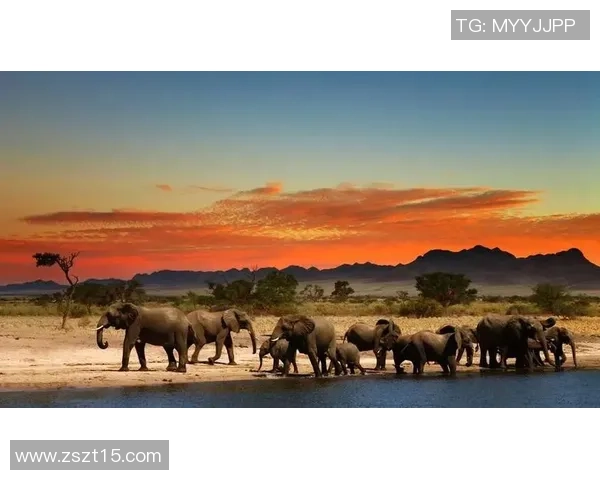 探索阿拉巴的魅力与文化遗产揭示其在历史长河中的独特地位与影响力